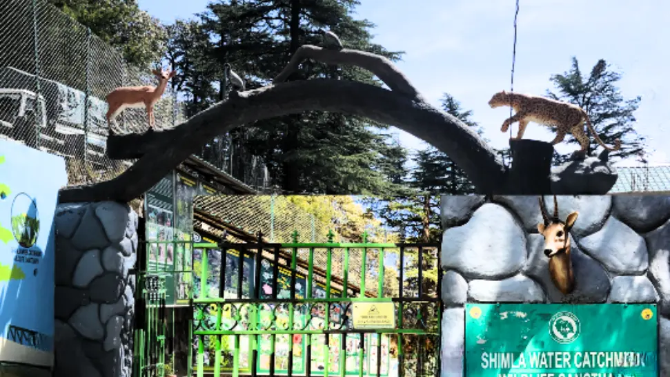 Visit Shimla Water Catchment Sanctuary is One of the best Things To Do in Shimla In December